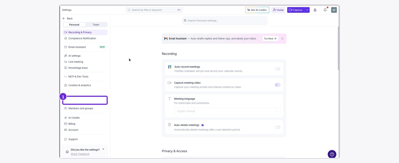 Open Fireflies Settings and select MCP & Dev Tools.